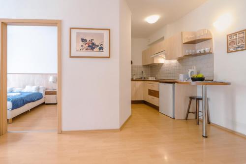 Premium Apartments, Budapešť (fotografie 6)