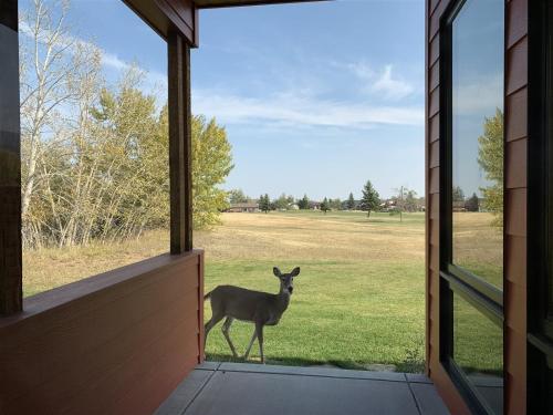 Lazy M Villa - image 13