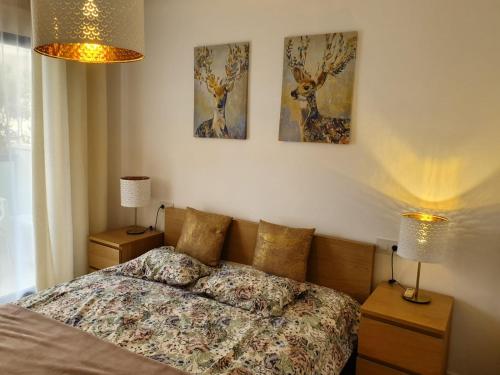 Playamarina - image 11