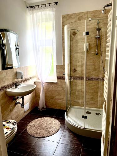 Large Single Room