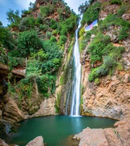Béjaïa Jolis grands Apparts F3 (Bejaia Jolis grands Apparts F3) in Bejaia