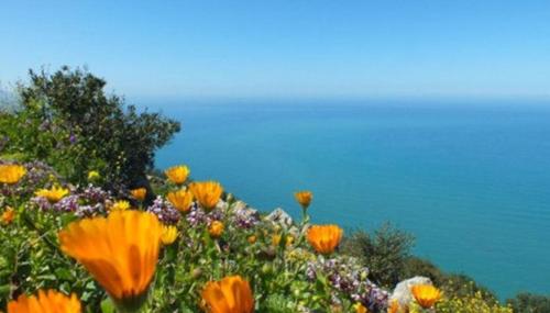 Béjaïa Jolis grands Apparts F3 (Bejaia Jolis grands Apparts F3) in Bejaia