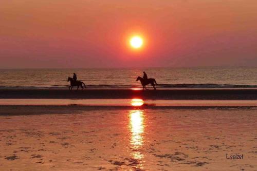 Le Donjon, bord de mer