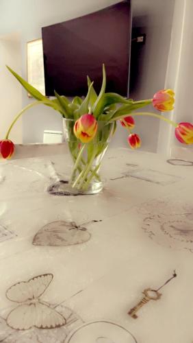 All Suite Colosseo - image 5