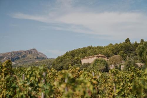 Son Brull Hotel & Spa - image 11