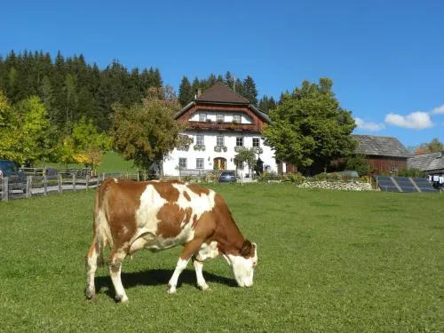 Polzhof in Sankt Andrä im Lungau, Österreich