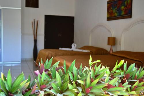 Hotel Paraiso in Tepic, Mexico