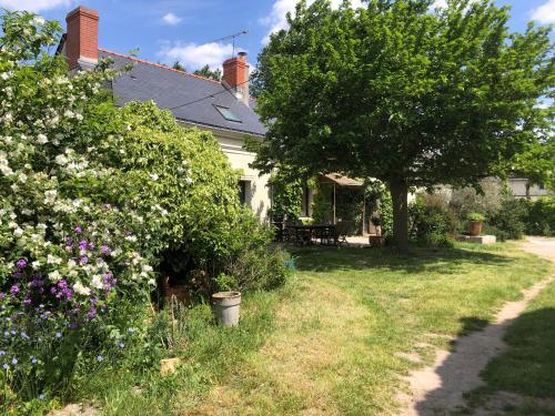 la Ferme de Russé - Location, gîte - Allonnes