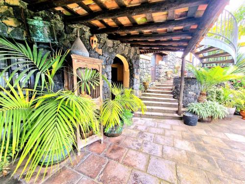 Finca Los Loros Icod de los Vinos 3