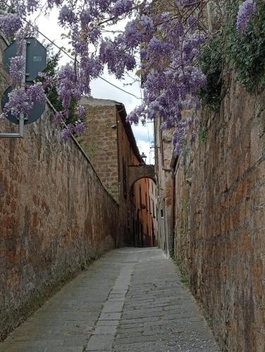 Il Vantaggio, Bagnoregio (fotografie 6)