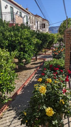  La Cañota King Rooms Adults Only in 18656 Talara