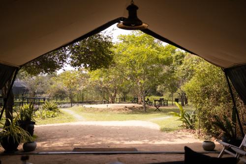 Leopard Trails Wilpattu