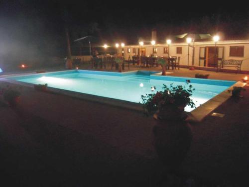 Swimming pool, B&B La Magnolia in Bassano in Teverina