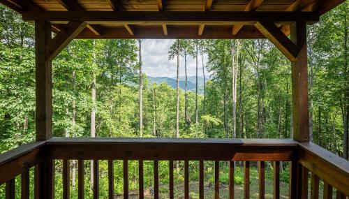 Heaven Sent - Spacious Family Cabin on Lake Nantahala