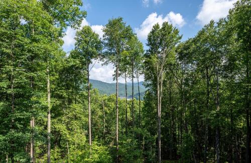 Heaven Sent - Spacious Family Cabin on Lake Nantahala