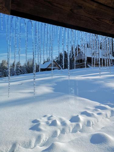 Osada na Granicy - Domki w Bieszczadach