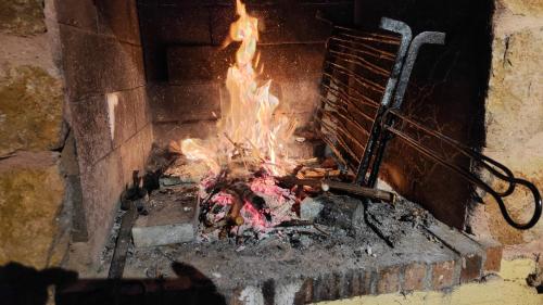 Refugio madera estilo árabe con estatuas, estanques y un pequeño zoo