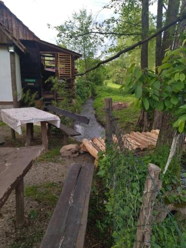 Mikin vajat i ribnjak Korenita, Loznica