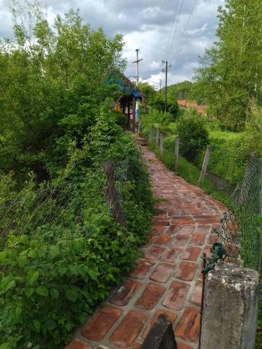 Mikin vajat i ribnjak Korenita, Loznica