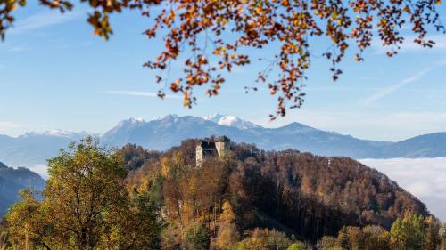 ที่เที่ยวใกล้ที่พัก, Dream Apartments in โฮเอเนมส์