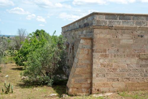 Il Trullo degli Ulivi by Diddoi