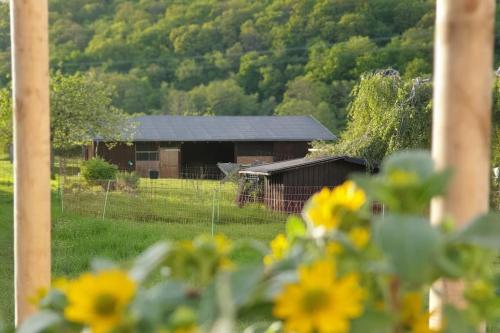 Oma Lina Haus - 4 SZ 2 Bäder großer Garten und Infrarot-Sauna