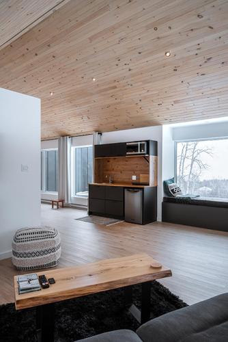 Unic loft Sapa - Massif Charlevoix, Mont-St-Anne in Saint-Joachim (QC)