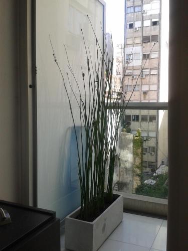 Design Larrea Studio - image 2