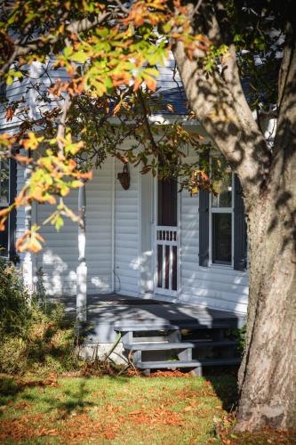 Ames Cottage Elk Rapids