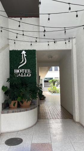 Hotel Gallo — Hotel in Guadalajara