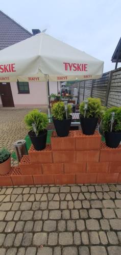 Zajazd Orchidea - Lipsko - Hotel 24h