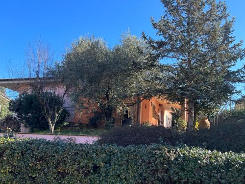  La casetta di Artena Padronale in 31 Artena
