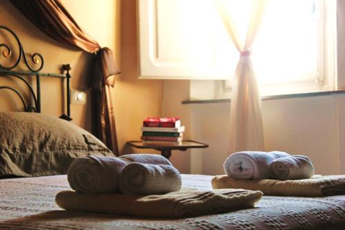 Altana Panoramic - main image