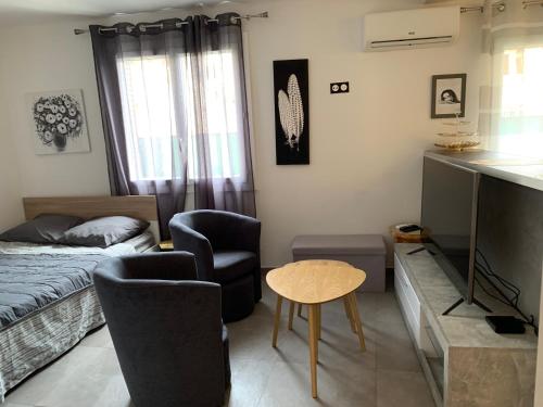 Grand Studio Tres Agreable Avec Bar, Cuisine Et Terrasse - Cagnes-sur-Mer
