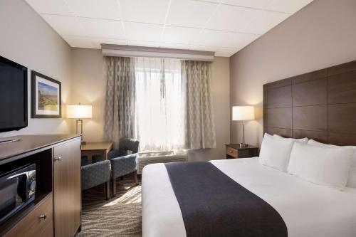 1 queen bed