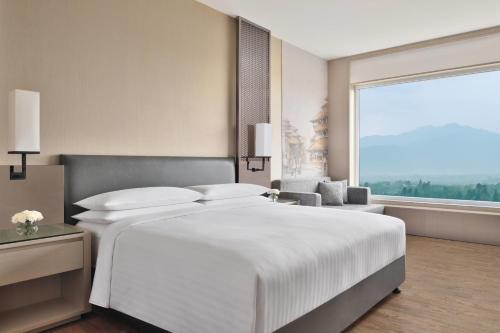 Double room, mountain view, lounge access
