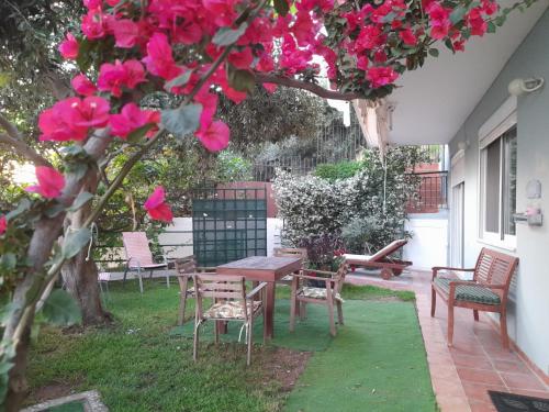 Jardim, LEMONELIA, one big,4-5 people and one small apartment ,2-3 people in Paralia (Fanari)