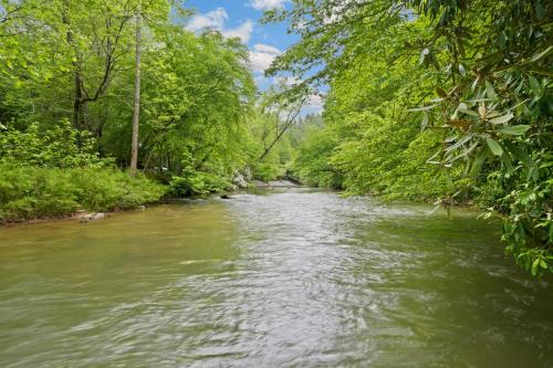 Tranquil Waters Cabin in Ellijay, USA
