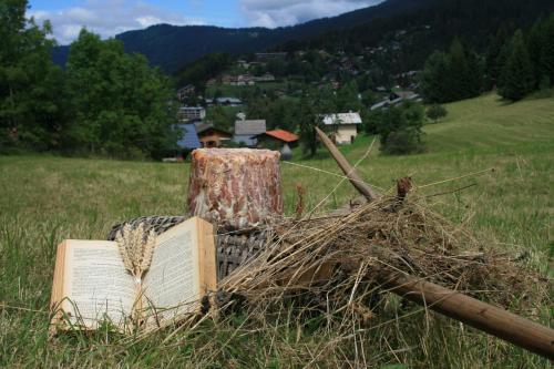 La Croix de Savoie & Spa - image 10