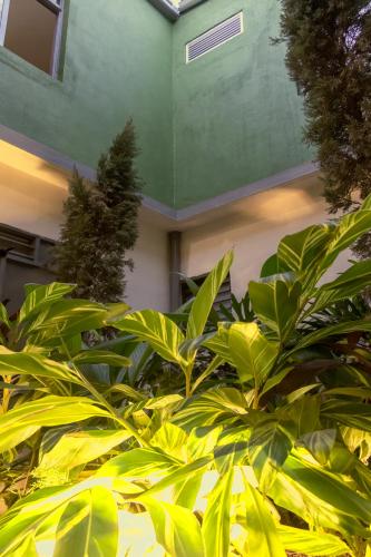 Garden, Ventiuna Hotel y Coliving in Pereira