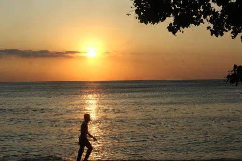 景觀, Lala Salama Backpacker in 聖吉吉海灘