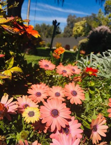 Laurant's Cottage ~ McLaren Vale entertainer