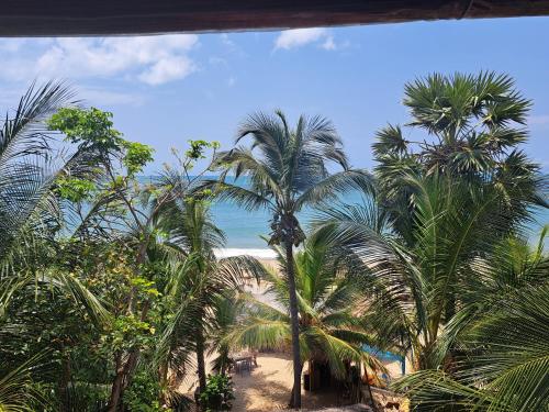 Surrounding environment, The Surf Access Guest House in Arugam Bay