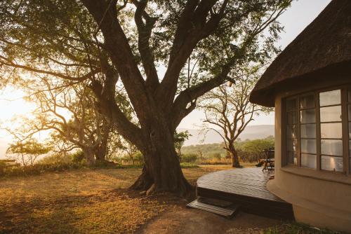 Makongo Hills Lodge Makongo Hills Lodge