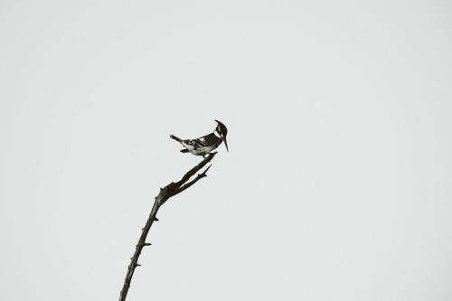 Makongo Hills Lodge Makongo Hills Lodge