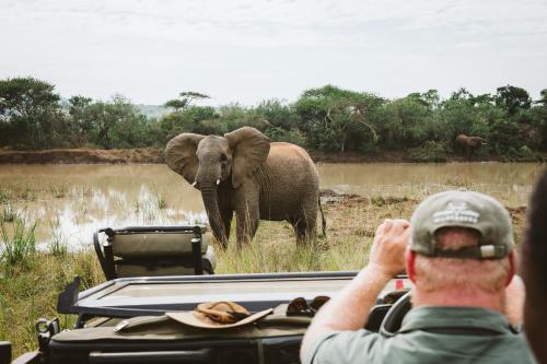 Makongo Hills Lodge Makongo Hills Lodge