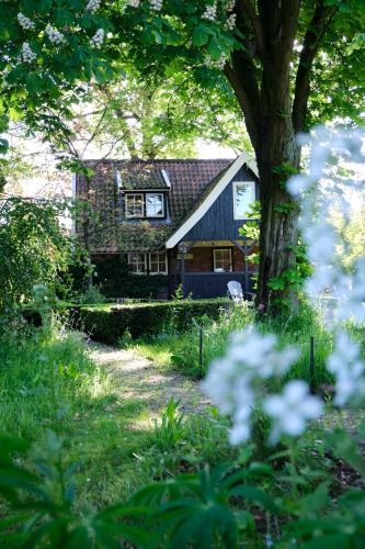  LooSan Lodges Gastenhuis, Pension in Reutum bei 49843 Halle