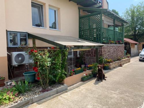 Agapé Mini Stúdió (Agape Mini Studio) in Balatonalmádi