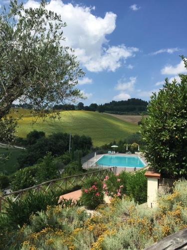 Aed, La Bargnina in Serrungarina