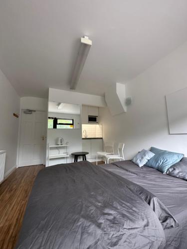 Santry Studio, Dublin (fotografie 10)